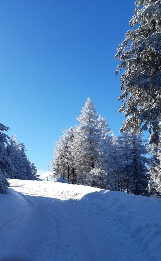 Harz-glueck1 Braunlage